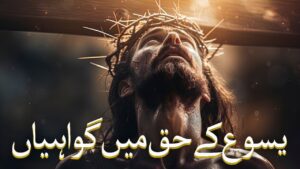 یسوع کے حق میں گواہیاں