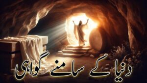 دنیا کے سامنے گواہی